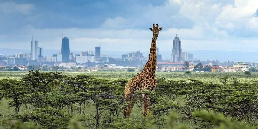 63a4c30d-e2f3-41c0-9611-b3325996d6e7