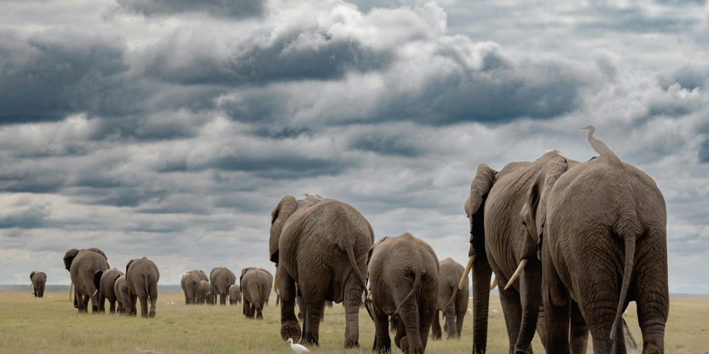 pexels-marri-shyam-366418-32457067